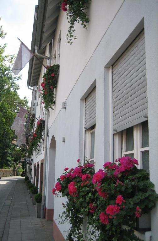 Hotel Wappenstube Erbach  Exterior photo
